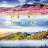 杨真国
