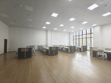 精装修 带隔音墙 雄安出租写字楼开发票 容东  带家具 大开间 工商注册